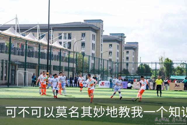 可不可以莫名其妙地教我一个知识? 网友：我的失眠终于有救了