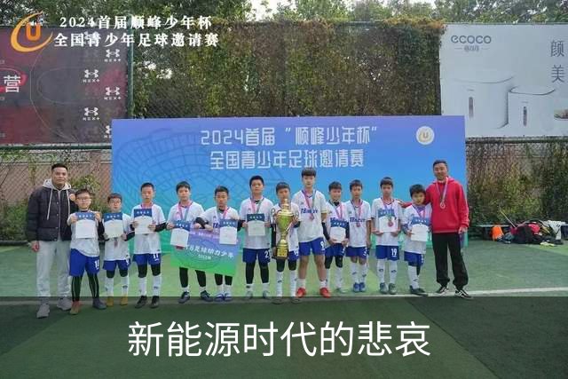 新能源时代的悲哀 ? 手机双雄打的国产一众车企 , 完全没有还手之力？