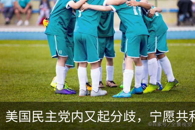 美国民主党内又起分歧，宁愿共和党多拿5席，也不想本党控制议院